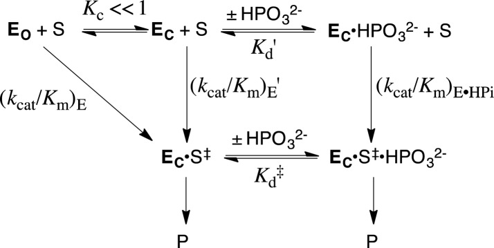 Scheme 6