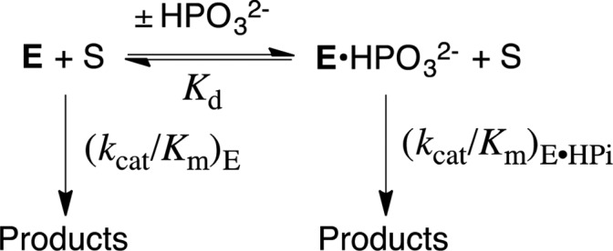 Scheme 4