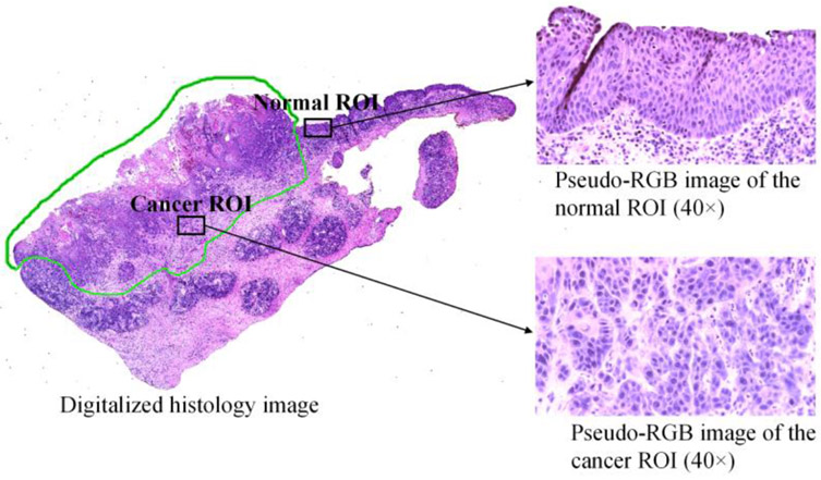 Figure 1.