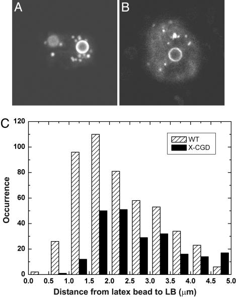 Fig. 5.