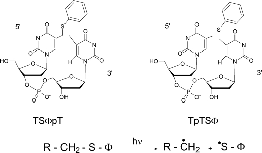 SCHEME 3.