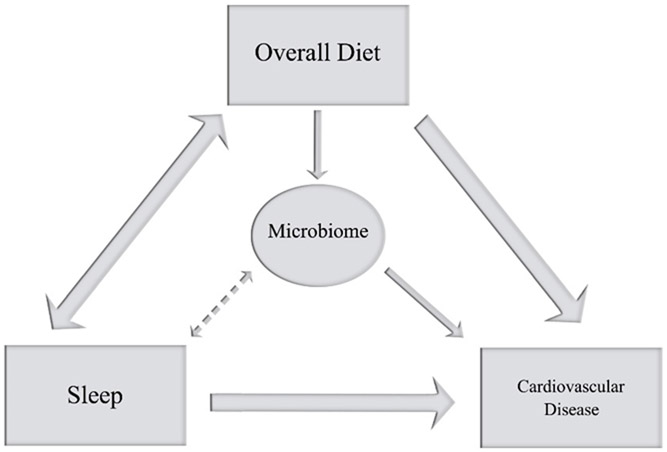 Figure 1: