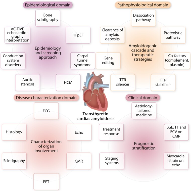 Graphical Abstract