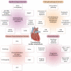 Graphical Abstract