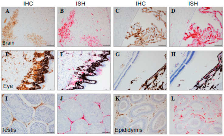 Figure 14