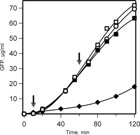 Figure 11.