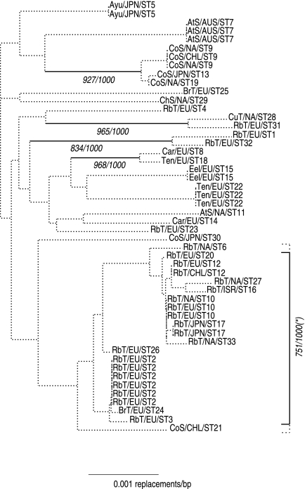 FIG. 1.