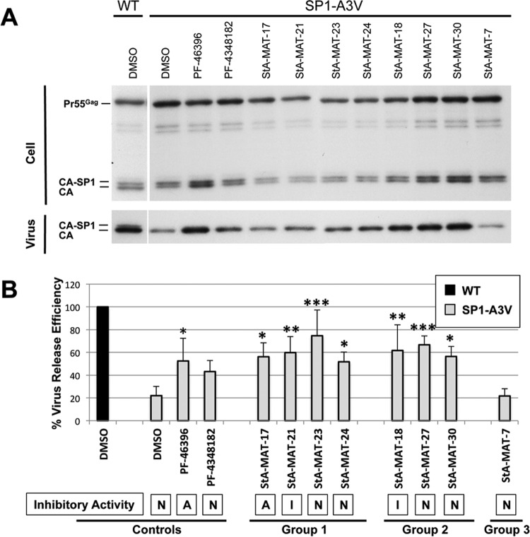 FIG 6