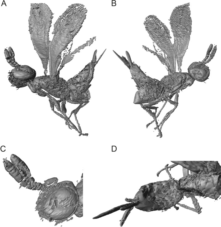 Figure 5