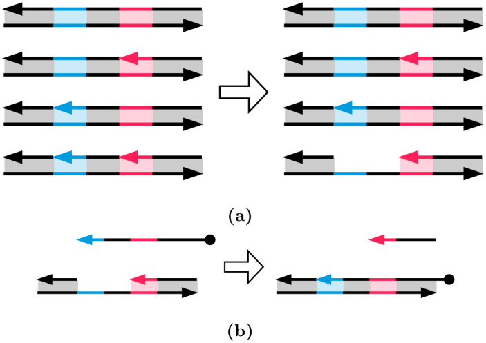 Fig 5