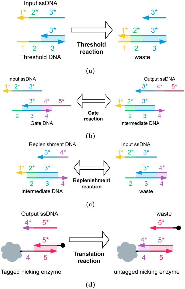 Fig 10