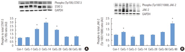 Figure. 6.