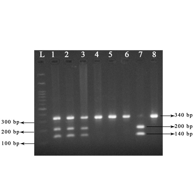 Fig.2