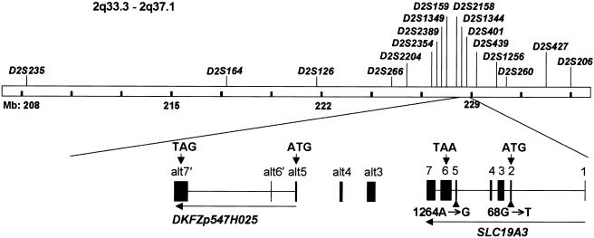 Figure  2