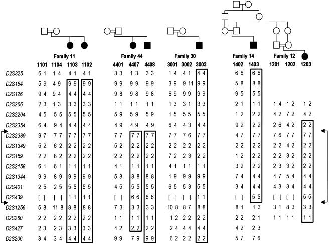 Figure  1