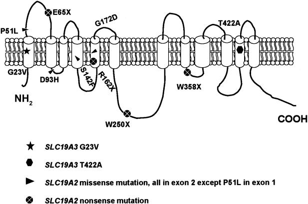 Figure  3