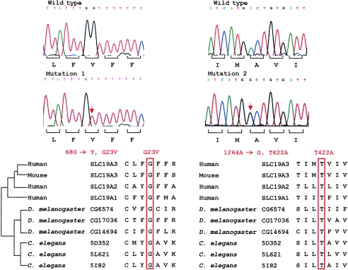 Figure  4