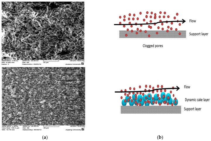 Figure 16