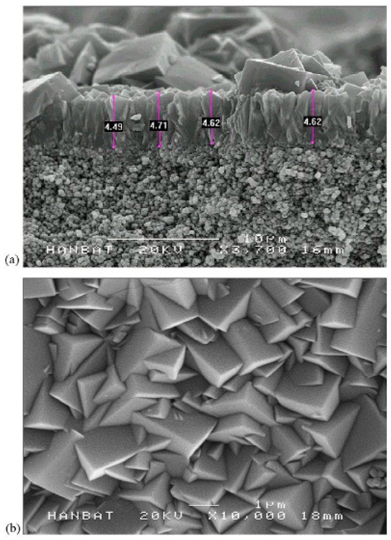 Figure 11