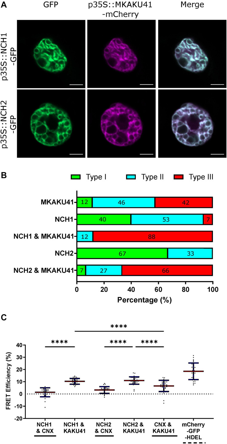 FIGURE 3