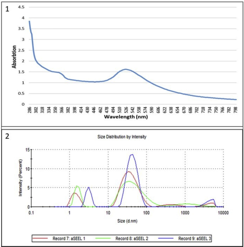 Figure 2