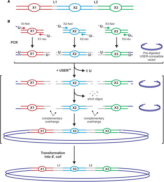 Figure 1.