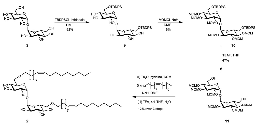 Scheme 2