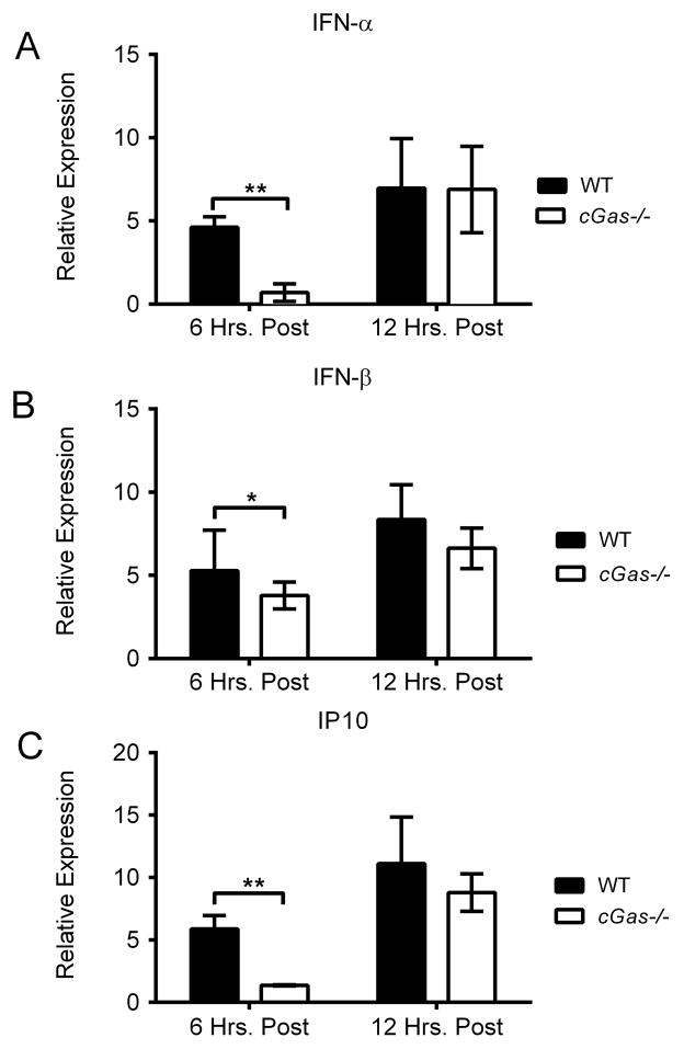 FIGURE 4