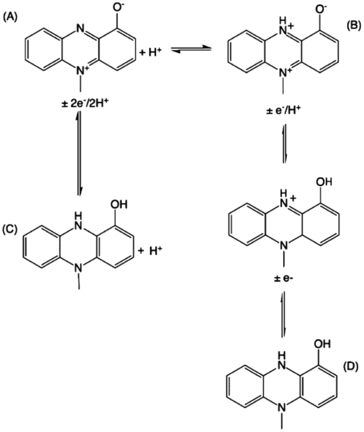 Scheme 1.