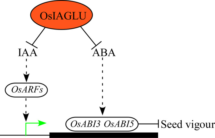 Figure 9