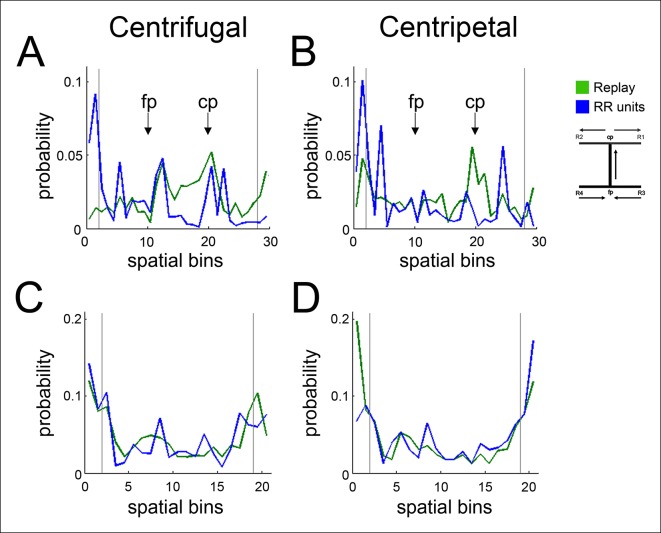 Figure 5—figure supplement 1.