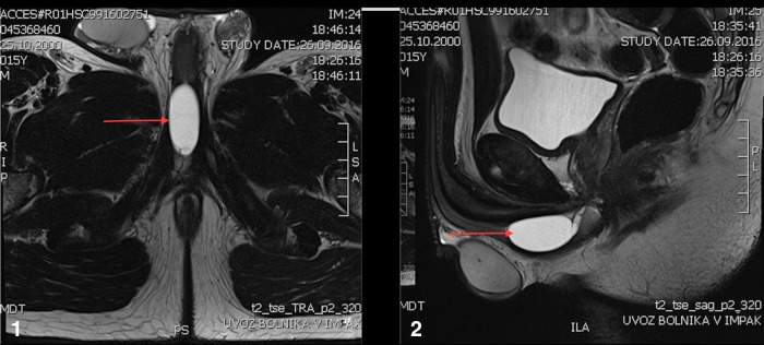 FIG. 1.