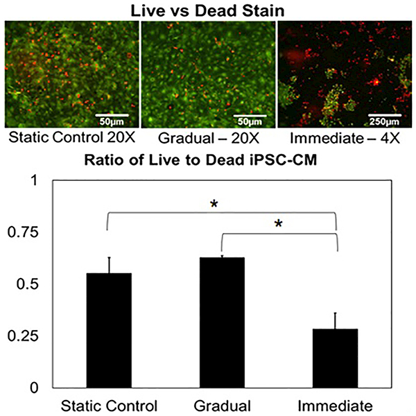 Figure 3: