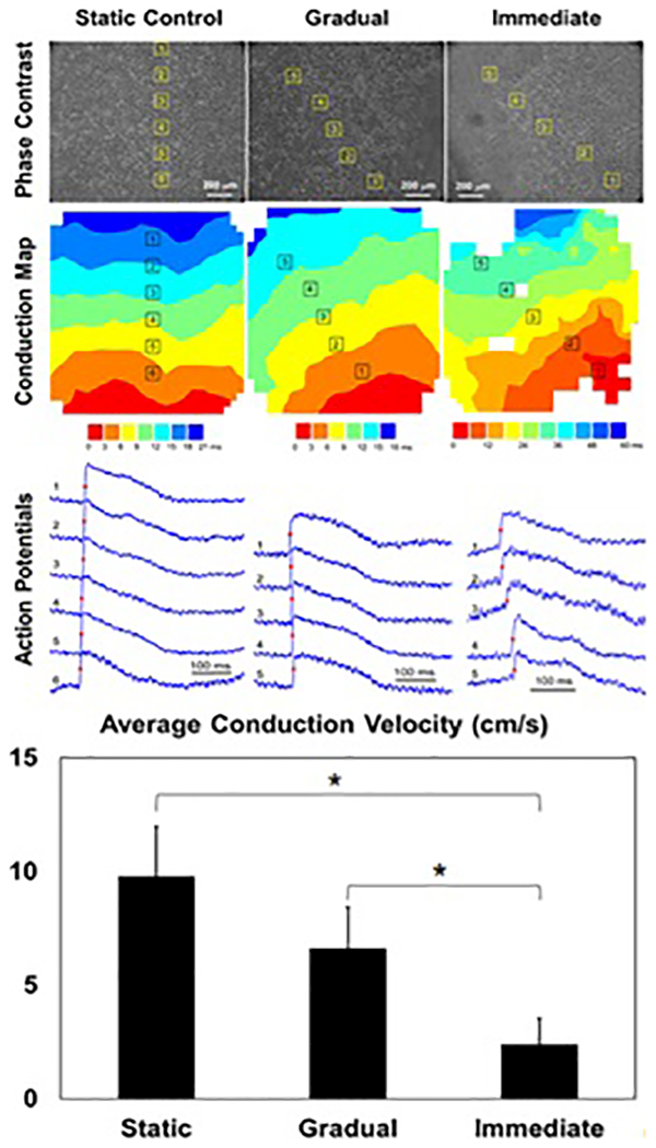 Figure 5: