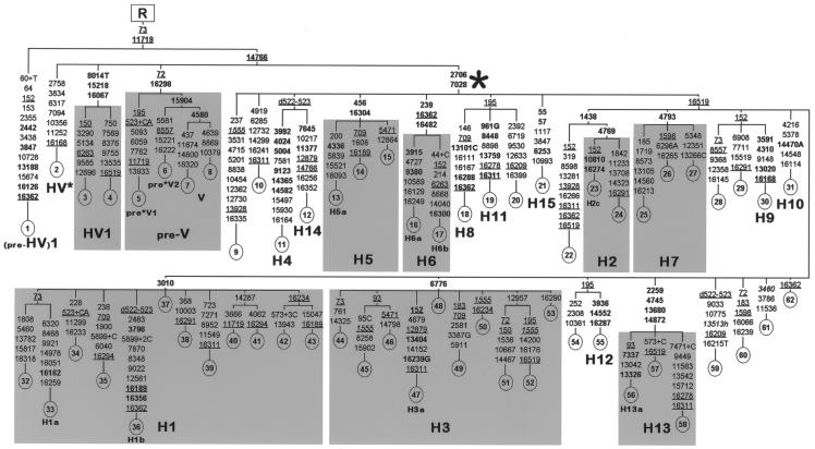 Figure  1