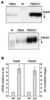 FIG. 4