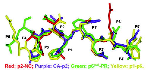 Fig. 4