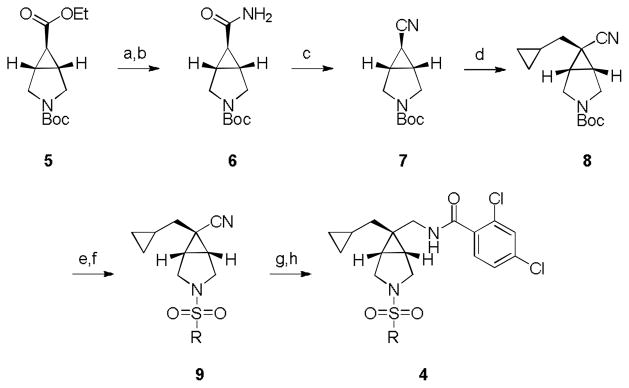 Scheme 1