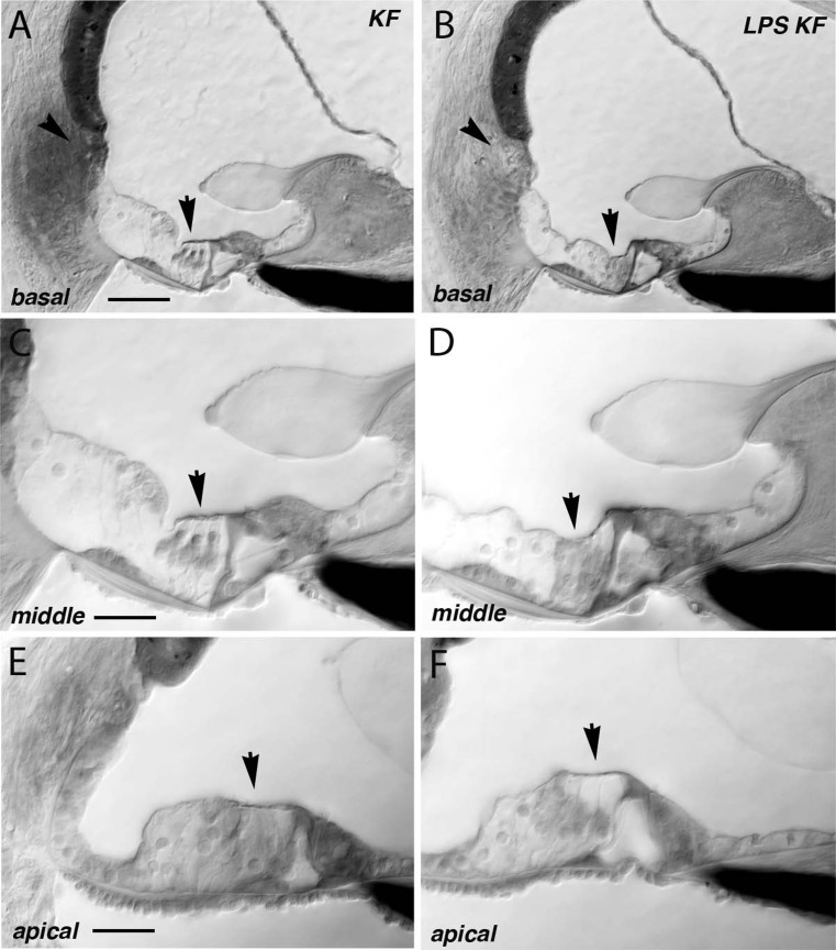 FIG. 7