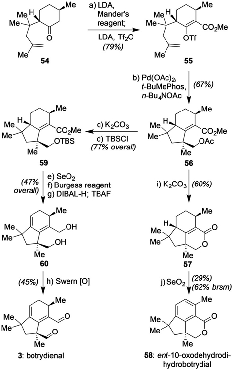 Scheme 3.