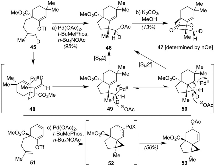 Scheme 2.