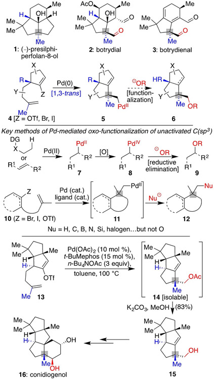 Scheme 1.