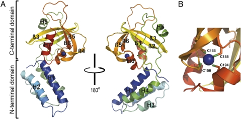 Fig. 1.