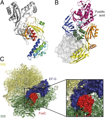 Fig. 3.