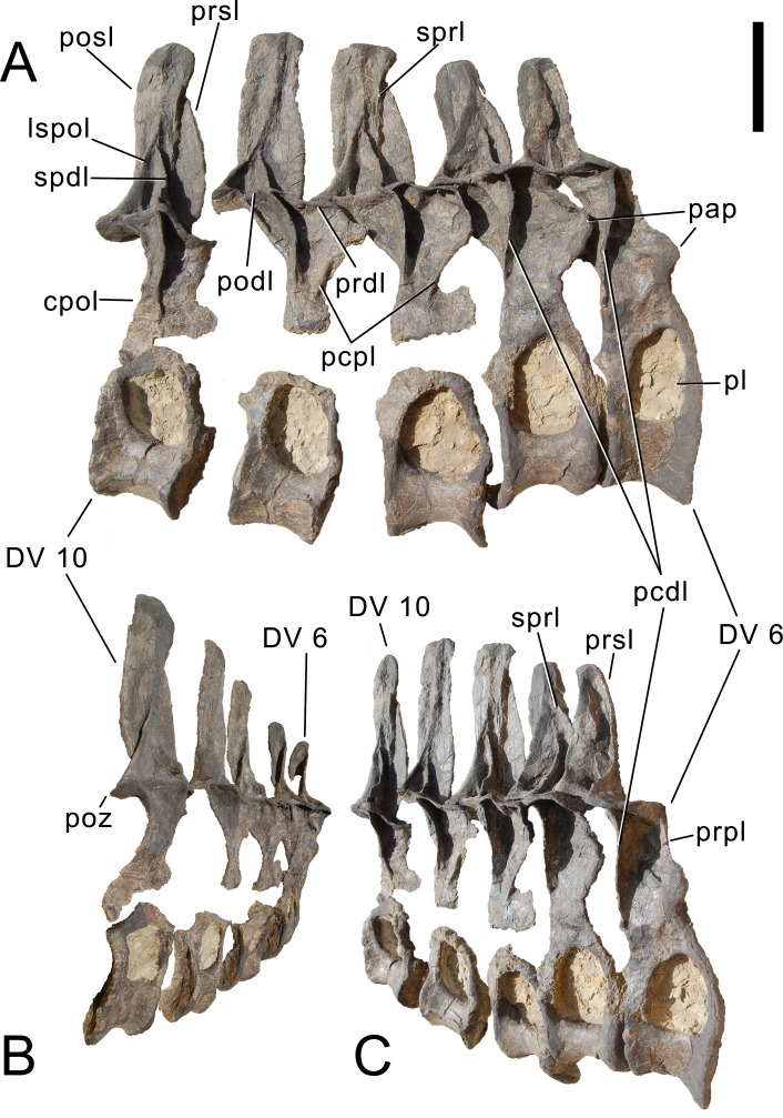 Figure 36