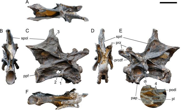 Figure 22