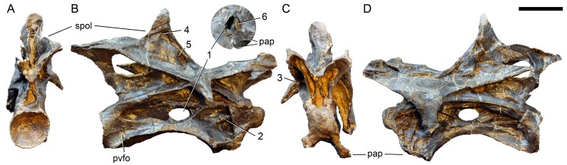 Figure 23