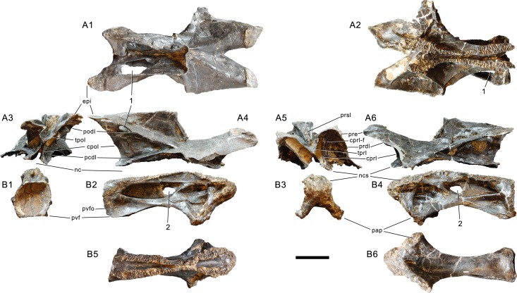 Figure 24