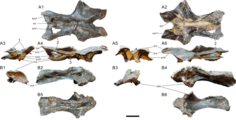 Figure 25