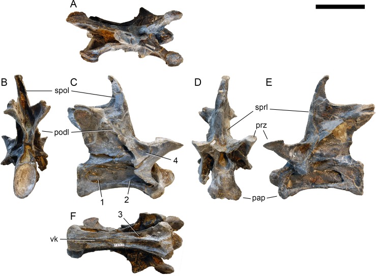 Figure 20